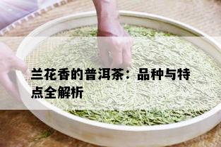 兰花香的普洱茶：品种与特点全解析