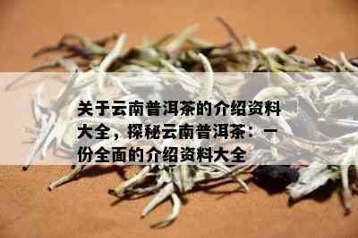 关于云南普洱茶的介绍资料大全，探秘云南普洱茶：一份全面的介绍资料大全