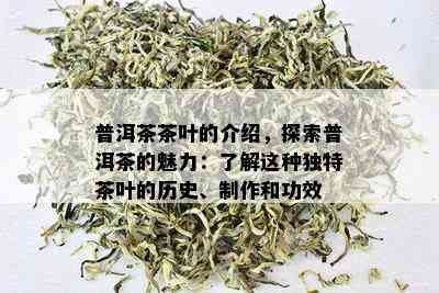 普洱茶茶叶的介绍，探索普洱茶的魅力：了解这种独特茶叶的历史、制作和功效