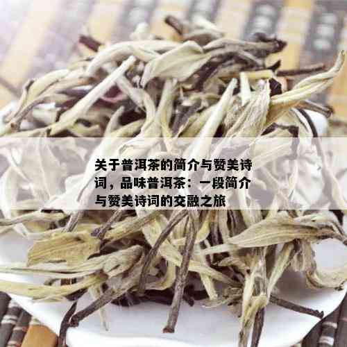 关于普洱茶的简介与赞美诗词，品味普洱茶：一段简介与赞美诗词的交融之旅