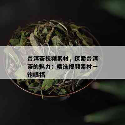 普洱茶视频素材，探索普洱茶的魅力：精选视频素材一饱眼福