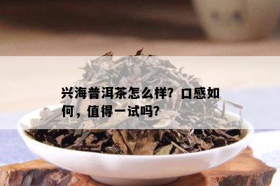 兴海普洱茶怎么样？口感如何，值得一试吗？