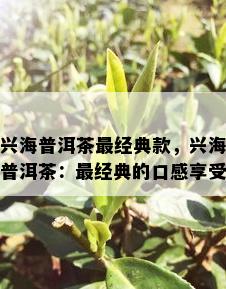 兴海普洱茶最经典款，兴海普洱茶：最经典的口感享受