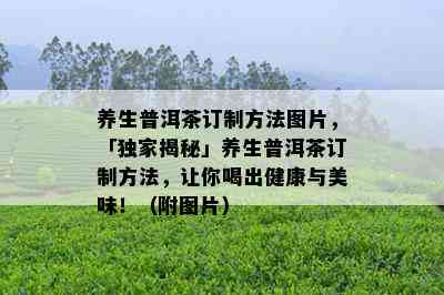 养生普洱茶订制方法图片，「独家揭秘」养生普洱茶订制方法，让你喝出健康与美味！（附图片）