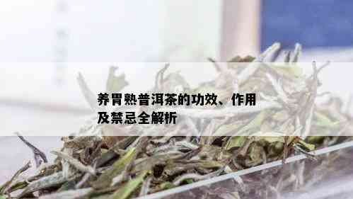 养胃熟普洱茶的功效、作用及禁忌全解析