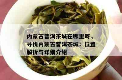 内蒙古普洱茶城在哪里呀，寻找内蒙古普洱茶城：位置解析与详细介绍