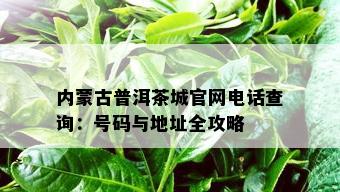 内蒙古普洱茶城官网电话查询：号码与地址全攻略