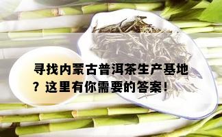 寻找内蒙古普洱茶生产基地？这里有你需要的答案！