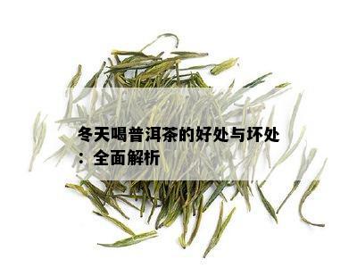 冬天喝普洱茶的好处与坏处：全面解析