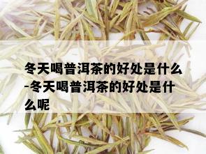 冬天喝普洱茶的好处是什么-冬天喝普洱茶的好处是什么呢