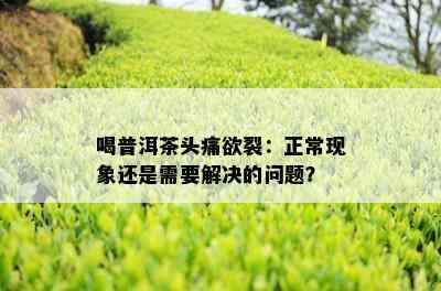 喝普洱茶头痛欲裂：正常现象还是需要解决的问题？