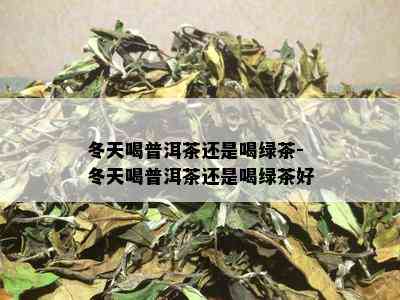 冬天喝普洱茶还是喝绿茶-冬天喝普洱茶还是喝绿茶好