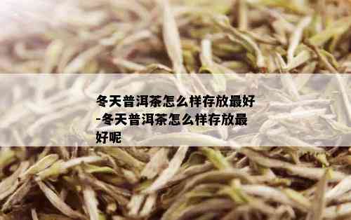 冬天普洱茶怎么样存放更好-冬天普洱茶怎么样存放更好呢