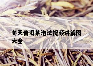 冬天普洱茶泡法视频讲解图大全