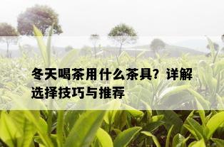 冬天喝茶用什么茶具？详解选择技巧与推荐