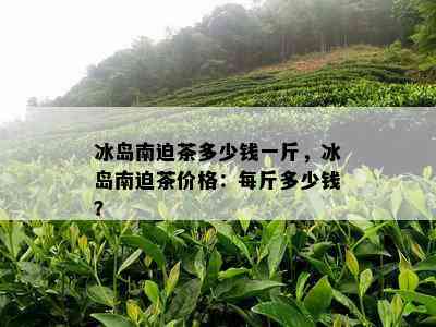 冰岛南迫茶多少钱一斤，冰岛南迫茶价格：每斤多少钱？