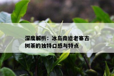 深度解析：冰岛南迫老寨古树茶的独特口感与特点