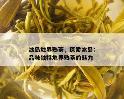 冰岛地界熟茶，探索冰岛：品味独特地界熟茶的魅力