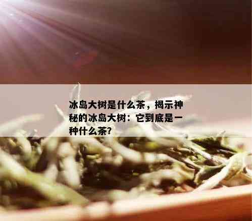 冰岛大树是什么茶，揭示神秘的冰岛大树：它到底是一种什么茶？