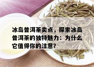 冰岛普洱茶卖点，探索冰岛普洱茶的独特魅力：为什么它值得你的注意？