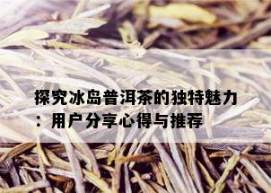 探究冰岛普洱茶的独特魅力：用户分享心得与推荐