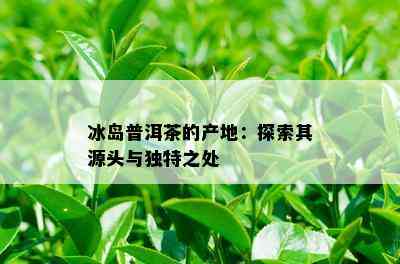 冰岛普洱茶的产地：探索其源头与独特之处