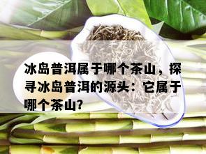 冰岛普洱属于哪个茶山，探寻冰岛普洱的源头：它属于哪个茶山？