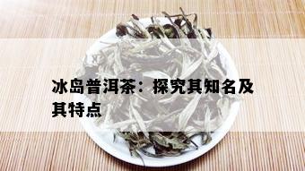 冰岛普洱茶：探究其知名及其特点