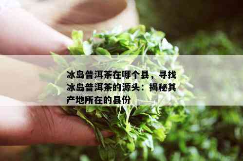 冰岛普洱茶在哪个县，寻找冰岛普洱茶的源头：揭秘其产地所在的县份