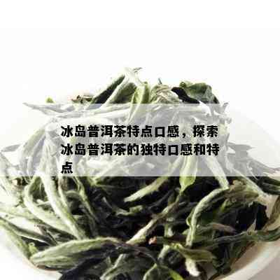 冰岛普洱茶特点口感，探索冰岛普洱茶的独特口感和特点