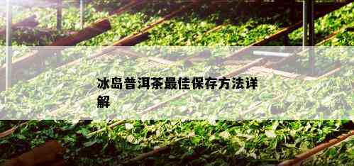 冰岛普洱茶更佳保存方法详解