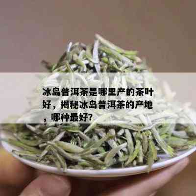 冰岛普洱茶是哪里产的茶叶好，揭秘冰岛普洱茶的产地，哪种更好？