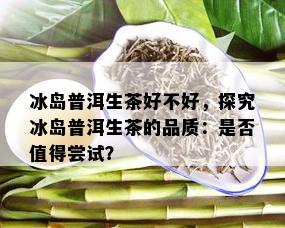 冰岛普洱生茶好不好，探究冰岛普洱生茶的品质：是否值得尝试？