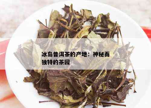 冰岛普洱茶的产地：神秘而独特的茶园