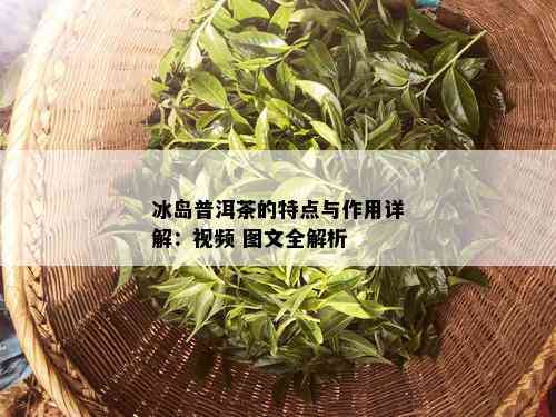 冰岛普洱茶的特点与作用详解：视频 图文全解析