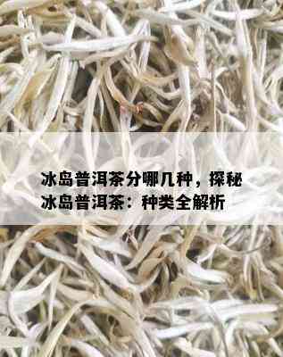 冰岛普洱茶分哪几种，探秘冰岛普洱茶：种类全解析