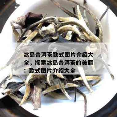 冰岛普洱茶款式图片介绍大全，探索冰岛普洱茶的美丽：款式图片介绍大全