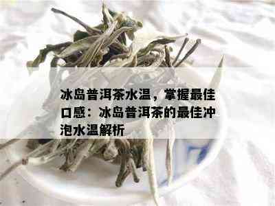 冰岛普洱茶水温，掌握更佳口感：冰岛普洱茶的更佳冲泡水温解析