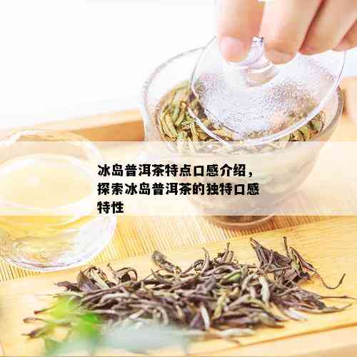 冰岛普洱茶特点口感介绍，探索冰岛普洱茶的独特口感特性