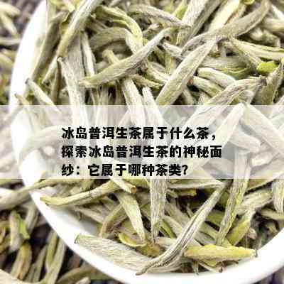 冰岛普洱生茶属于什么茶，探索冰岛普洱生茶的神秘面纱：它属于哪种茶类？