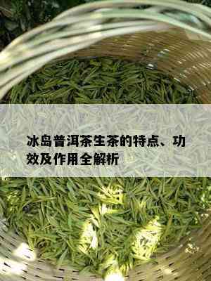 冰岛普洱茶生茶的特点、功效及作用全解析