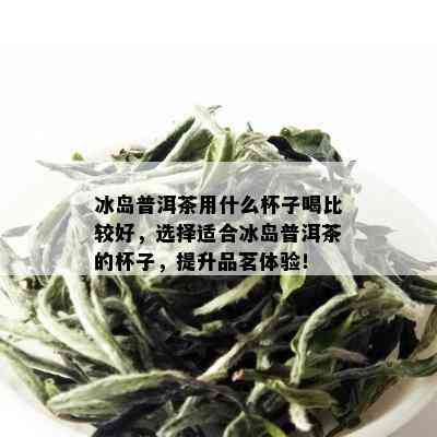 冰岛普洱茶用什么杯子喝比较好，选择适合冰岛普洱茶的杯子，提升品茗体验！