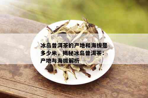 冰岛普洱茶的产地和海拔是多少米，揭秘冰岛普洱茶：产地与海拔解析