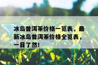 冰岛普洱茶价格一览表，最新冰岛普洱茶价格全览表，一目了然！