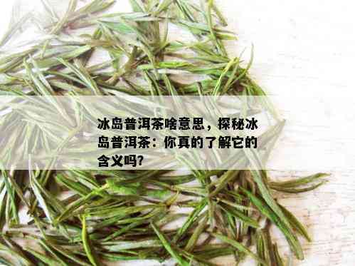 冰岛普洱茶啥意思，探秘冰岛普洱茶：你真的了解它的含义吗？