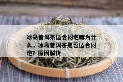 冰岛普洱茶适合闷泡嘛为什么，冰岛普洱茶是否适合闷泡？原因解析