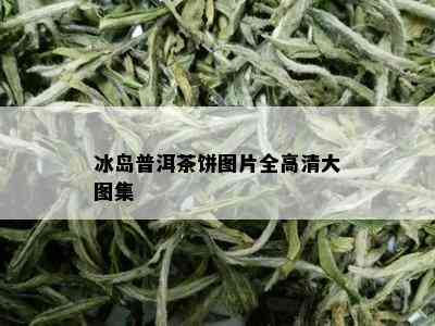 冰岛普洱茶饼图片全高清大图集