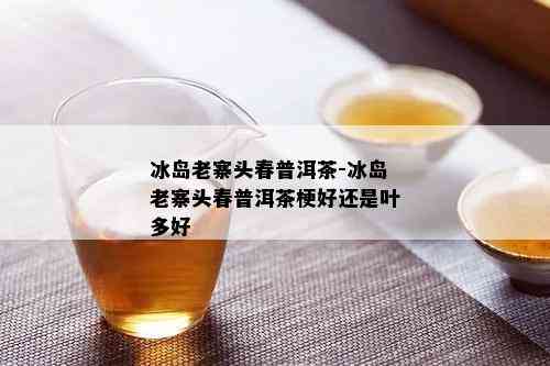 冰岛老寨头春普洱茶-冰岛老寨头春普洱茶梗好还是叶多好