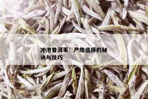 冲泡普洱茶：产地选择的秘诀与技巧