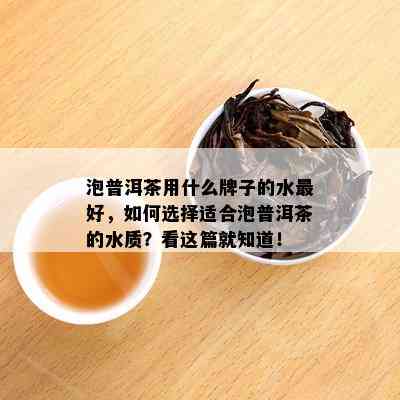 泡普洱茶用什么牌子的水更好，如何选择适合泡普洱茶的水质？看这篇就知道！